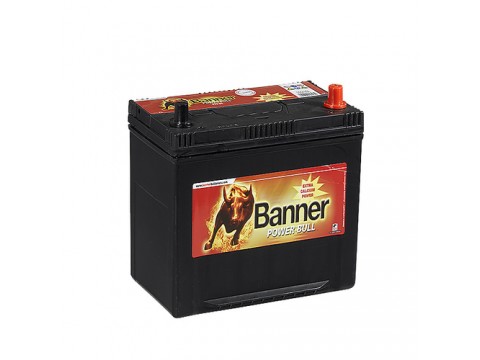 Banner 249 12v 95Ah 720CCA Car Battery (P9504) (335) 