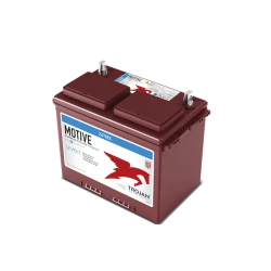 Trojan 24TMX 12V Deep Cycle  Trojan Leisure