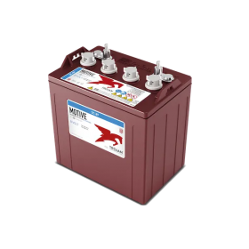 TROJAN DC-8V GOLF BUGGY 8V 160AH BATTERY TROJAN DC-8V GOLF BUGGY 8V 160AH BATTERY