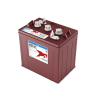 Trojan T105 6V Deep Cycle (T105) t105plus 6-FS-GC