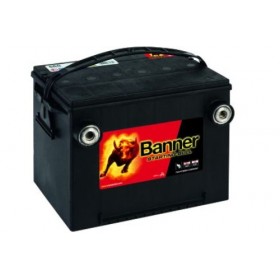 Banner 560 10 12v 60Ah 675CCA Car Battery (560 10)  