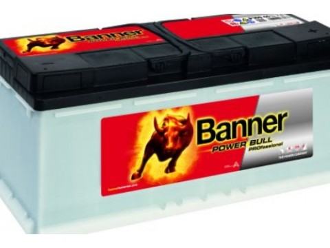 Banner 019 12v 100Ah 800CCA Car Battery (P100 40) (019) 