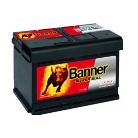 Banner 100 12v 72Ah 660CCA Car Battery (P72 09) (100) 