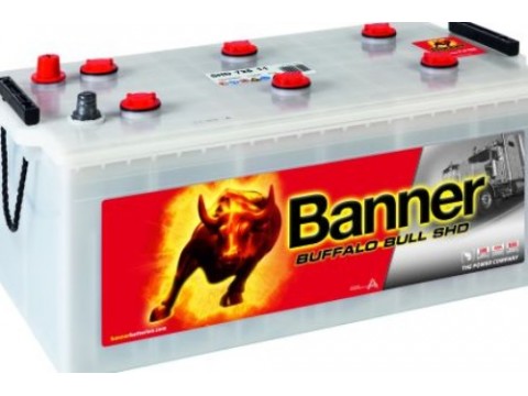 Banner SHD 725 11 12v 225Ah Commercial Vehicle Battery (632) 