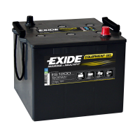 Exide ES1200 Gel (6TN)