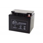 Leoch LPC12-42 Mobility Battery (12V 42AH) (AGM50EV) Leoch Industrial